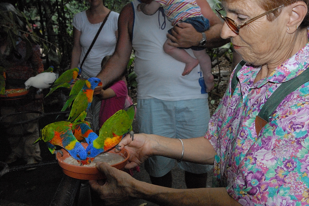 0122 Cairns Tropical Zoo.jpg